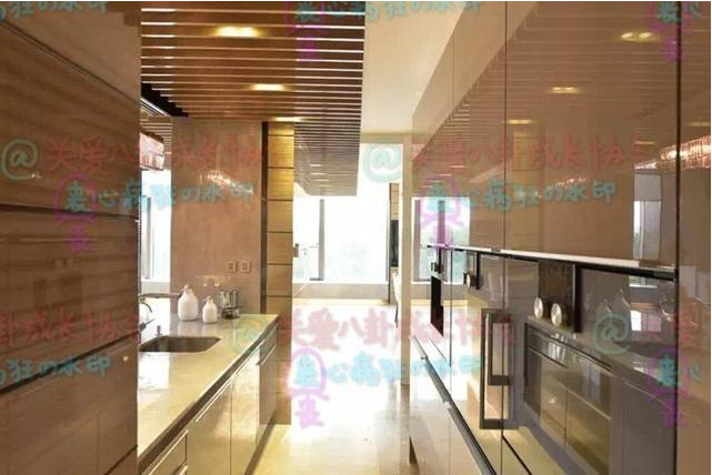 李晨求婚范冰冰，婚房別墅裝修內(nèi)景曝光，讓你知道什么是豪宅？